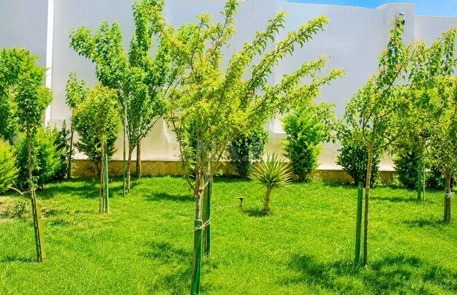 Продаётся 6-комн. дом/дача 600 м², пос. Бадамдар, photo 18 from 26
