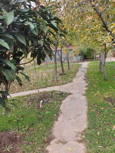 Satılır  torpaq 20 sot, Nəsimi m., photo 15 from 32