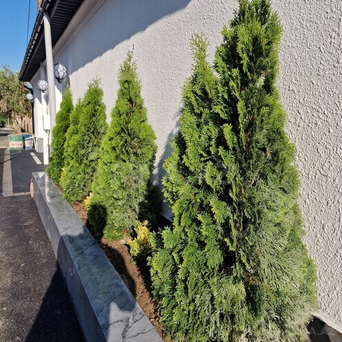 Satılır 7 otaqlı həyət evi/bağ evi 450 m², Badamdar q., photo 13 from 32