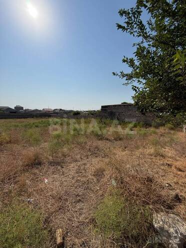 Satılır  torpaq 12 sot, Qala q., photo 4 from 9