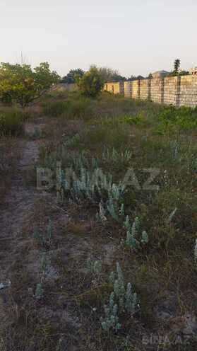 Продаётся  участок 12 сот, пос. Новханы, photo 5 from 8