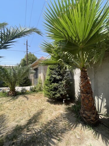 Satılır 4 otaqlı həyət evi/bağ evi 200 m², Novxanı q., photo 15 from 32