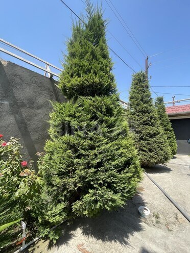 Satılır 4 otaqlı həyət evi/bağ evi 200 m², Novxanı q., photo 14 from 32