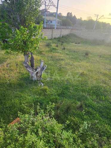 Satılır  torpaq 10 sot, Novxanı q., photo 4 from 12