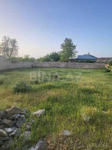 Satılır  torpaq 10 sot, Novxanı q., photo 11 from 12