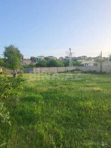 Satılır  torpaq 10 sot, Novxanı q., photo 9 from 12