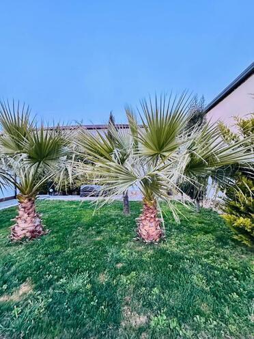İcarəyə verilir 6 otaqlı həyət evi/bağ evi 300 m², Mərdəkan q., photo 7 from 17