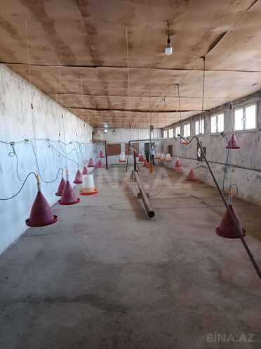 Satılır  obyekt 300 m², Qobu q., photo 5 from 13