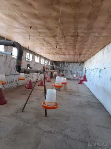 Satılır  obyekt 300 m², Qobu q., photo 6 from 13