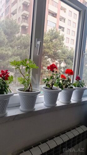 Satılır 2 otaqlı köhnə tikili 50 m², Nəriman Nərimanov m., photo 5 from 21