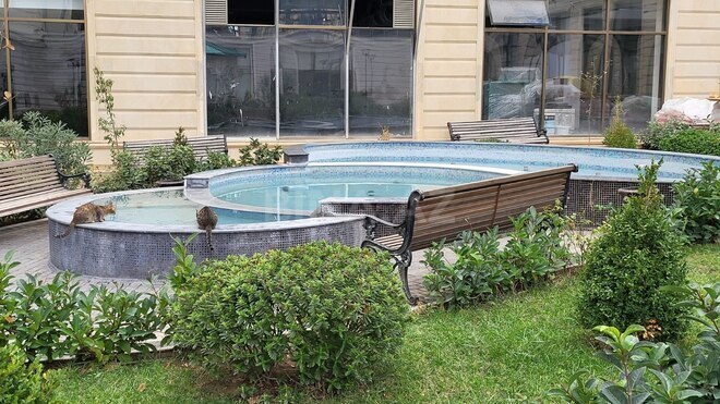 Satılır 2 otaqlı yeni tikili 93 m², Nəriman Nərimanov m., photo 7 from 17