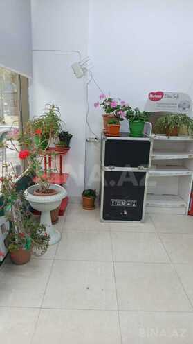 Сдаётся  объект 120 м², м. Ази Асланов, photo 6 from 24