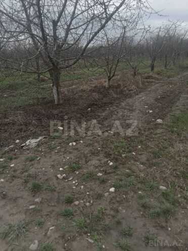 Продаётся  участок 2 500 сот, photo 22 from 30