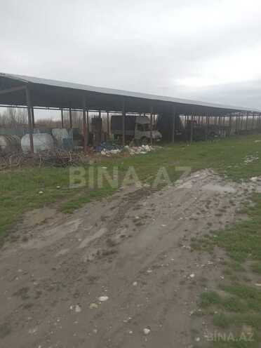 Продаётся  участок 2 500 сот, photo 29 from 30