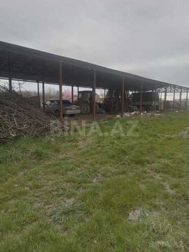 Продаётся  участок 2 500 сот, photo 19 from 30