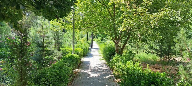 Satılır 3 otaqlı köhnə tikili 70 m², Azadlıq Prospekti m., photo 16 from 18