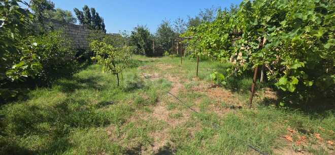 Satılır 5 otaqlı həyət evi/bağ evi 180 m², Novxanı q., photo 11 from 12