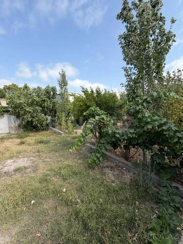 Satılır  torpaq 16 sot, Şüvəlan q., photo 7 from 16