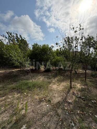 Satılır  torpaq 16 sot, Şüvəlan q., photo 6 from 16