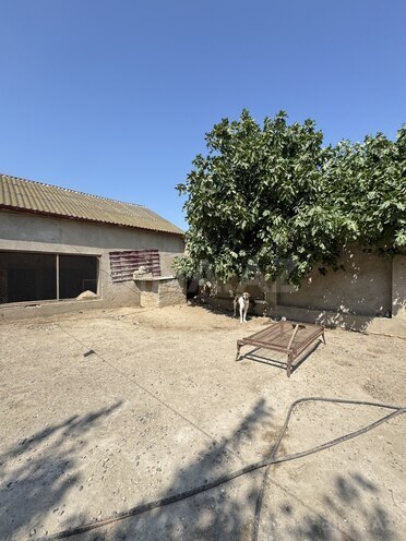 Продается 8-комн. дом/дача 250 м², пос. Говсан, photo 28 from 32
