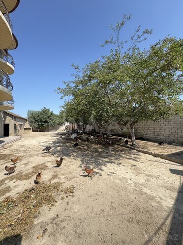 Продается 8-комн. дом/дача 250 м², пос. Говсан, photo 4 from 32