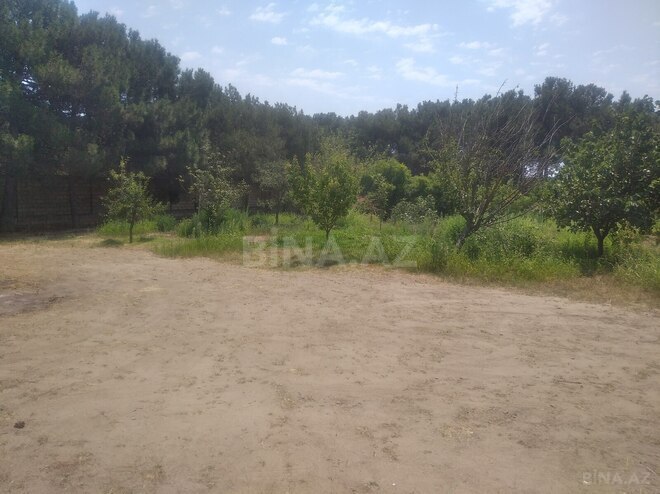 Satılır  torpaq 20 sot, Xəzər r., photo 3 from 4