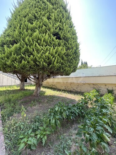 Продаётся 5-комн. дом/дача 240 м², пос. Новханы, photo 18 from 32