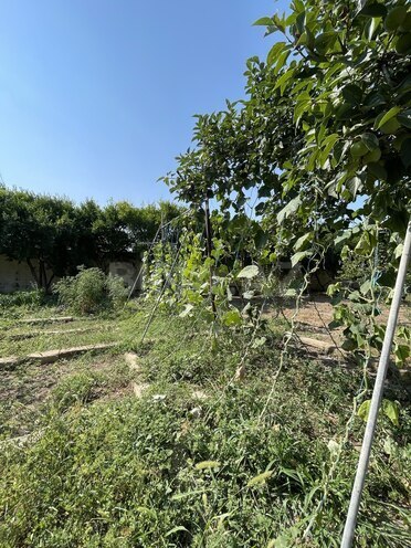 Продаётся 5-комн. дом/дача 240 м², пос. Новханы, photo 17 from 32