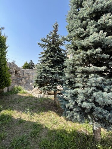Продаётся 5-комн. дом/дача 240 м², пос. Новханы, photo 7 from 32