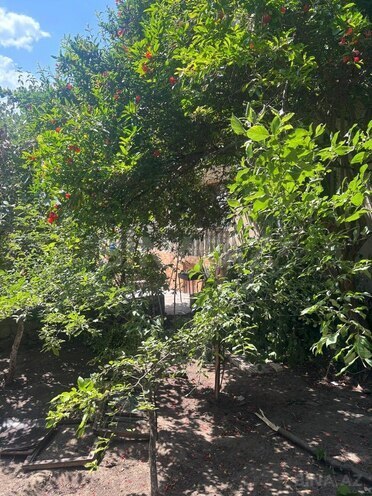 Продается 3-комн. дом/дача 147 м², пос. Ени Романы, photo 16 from 18