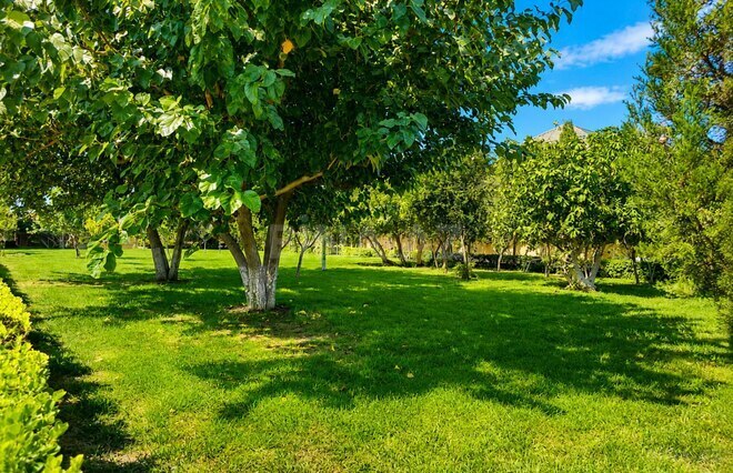 Satılır 8 otaqlı həyət evi/bağ evi 1 500 m², Bilgəh q., photo 6 from 32