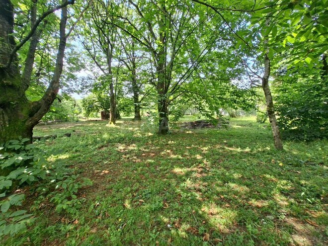 Satılır  torpaq 10 sot, photo 3 from 5