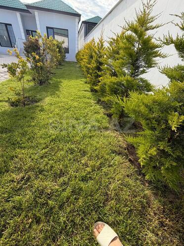 Satılır 4 otaqlı həyət evi/bağ evi 150 m², Buzovna q., photo 3 from 20