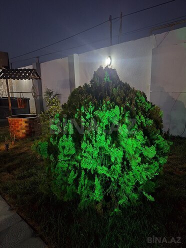 İcarəyə verilir 3 otaqlı həyət evi/bağ evi 110 m², Türkan q., photo 19 from 32