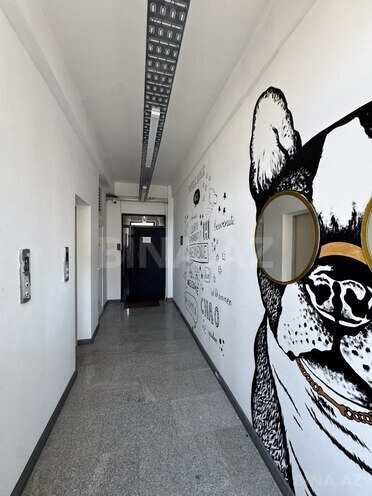 İcarəyə verilir 11 otaqlı ofis 530 m², 28 May m., photo 29 from 32