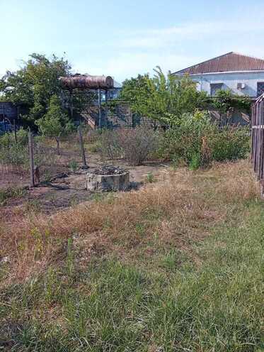 Продаётся  участок 6 сот, пос. Пиршаги, photo 5 from 10