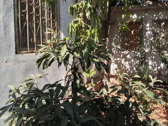 Satılır 4 otaqlı həyət evi/bağ evi 150 m², Nəsimi m., photo 19 from 22
