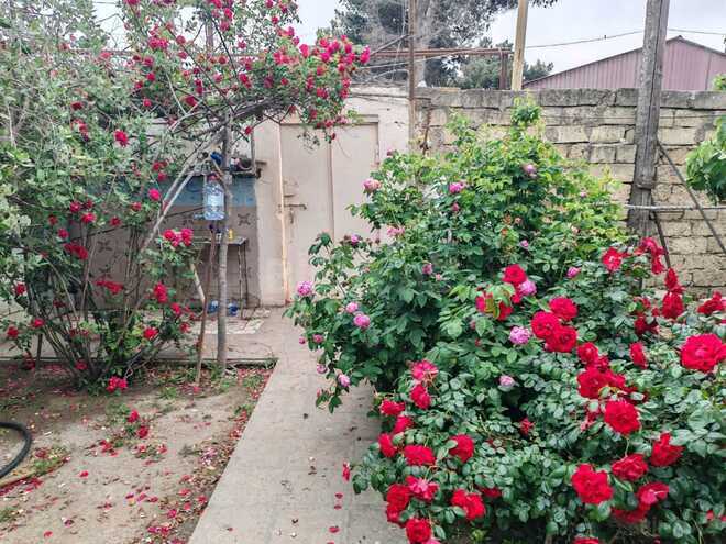 Satılır  torpaq 22 sot, Abşeron r., photo 15 from 26
