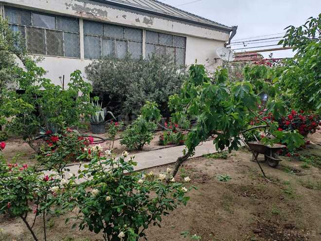 Satılır  torpaq 22 sot, Abşeron r., photo 10 from 26