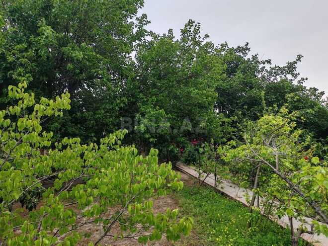 Satılır  torpaq 22 sot, Abşeron r., photo 3 from 26