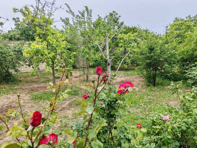 Satılır  torpaq 22 sot, Abşeron r., photo 20 from 26