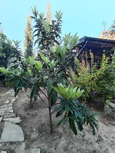 Продаётся 4-комн. дом/дача 250 м², пос. Бузовна, photo 23 from 26