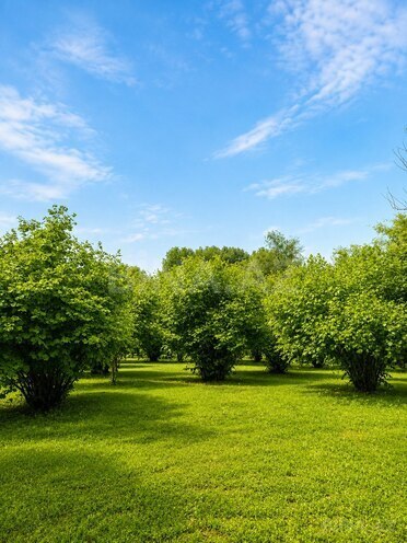 Продаётся  участок 4 сот, photo 7 from 11