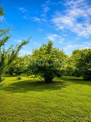 Продаётся  участок 4 сот, photo 9 from 11