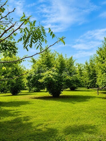 Продаётся  участок 4 сот, photo 6 from 11