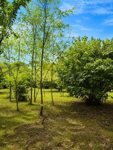Продаётся  участок 4 сот, photo 10 from 11