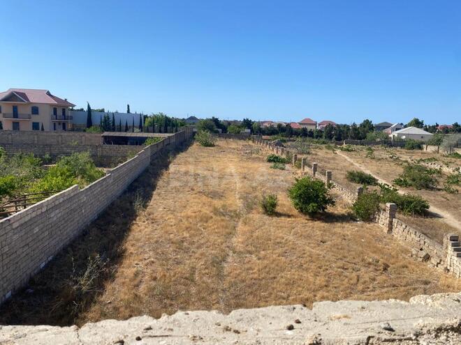 Satılır  torpaq 30 sot, Albalılıq q., photo 12 from 14