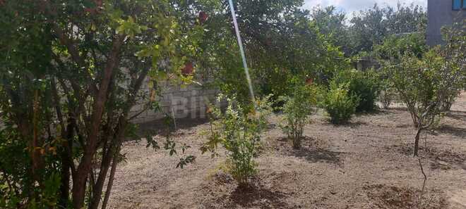 Продаётся  участок 6 сот, Хазарский р., photo 3 from 6