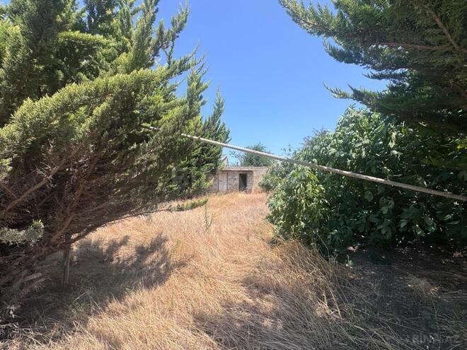 Продаётся 8-комн. дом/дача 650 м², пос. Мардакан, photo 8 from 32