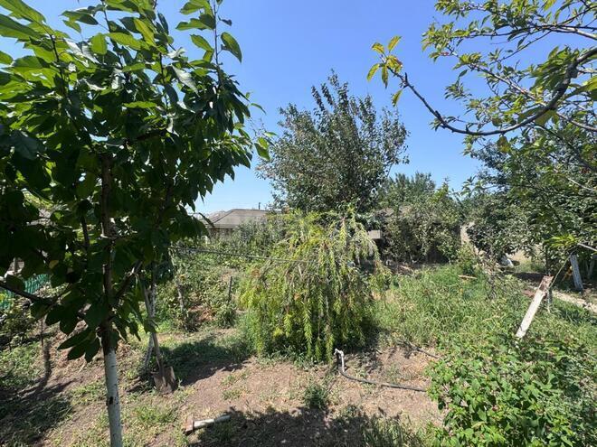 Продаётся 7-комн. дом/дача 220 м², пос. Мардакан, photo 5 from 27